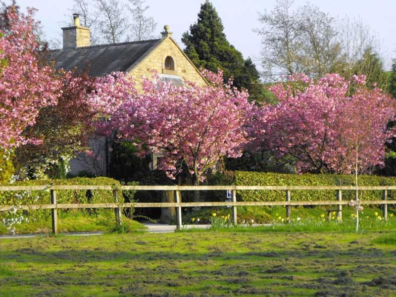 Bed and Breakfast Whitmore Lancaster Exterior foto